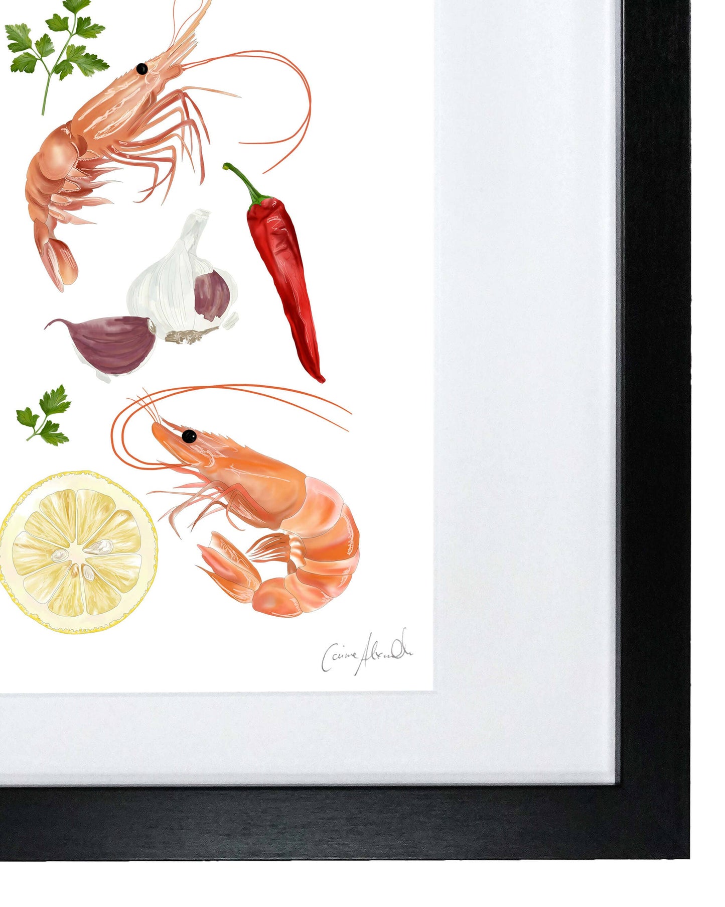 Prawn Print - Framed Limited Edition Print - Seafood