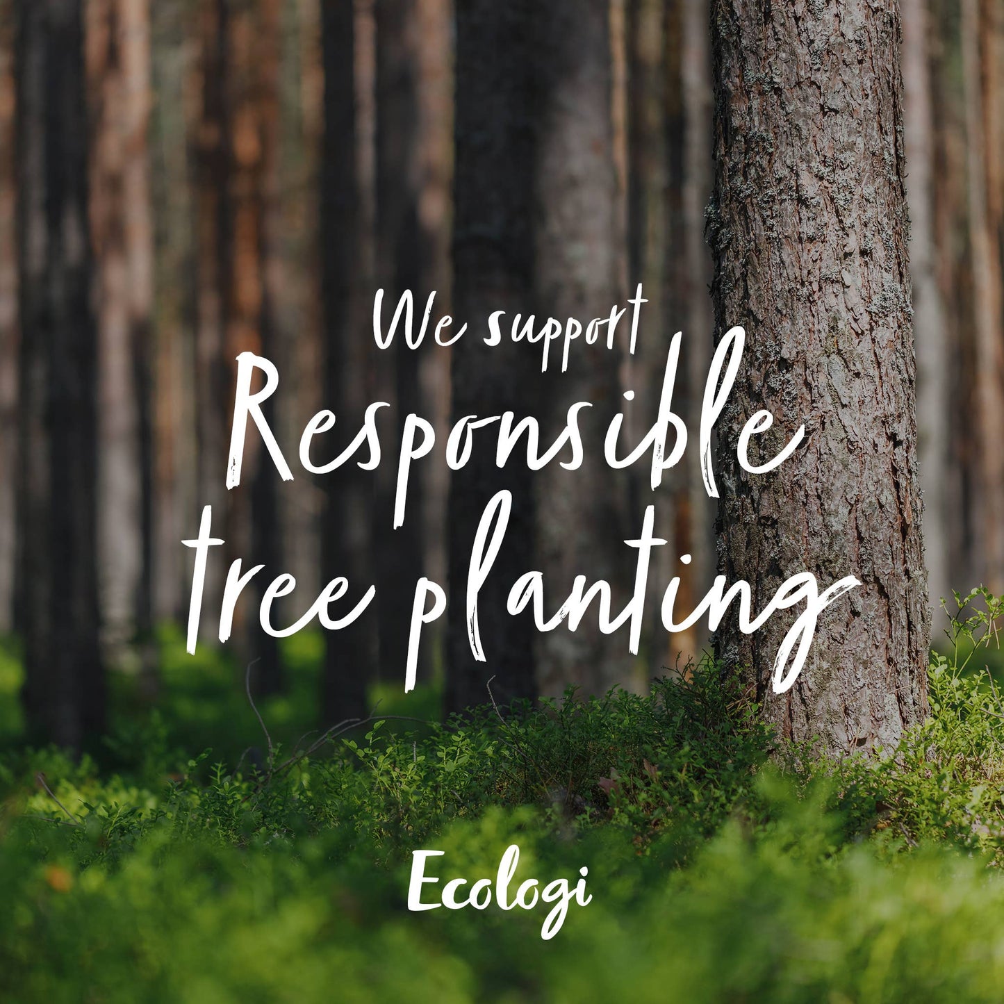 Wales - Eco-friendly cards & magnets: Magnet