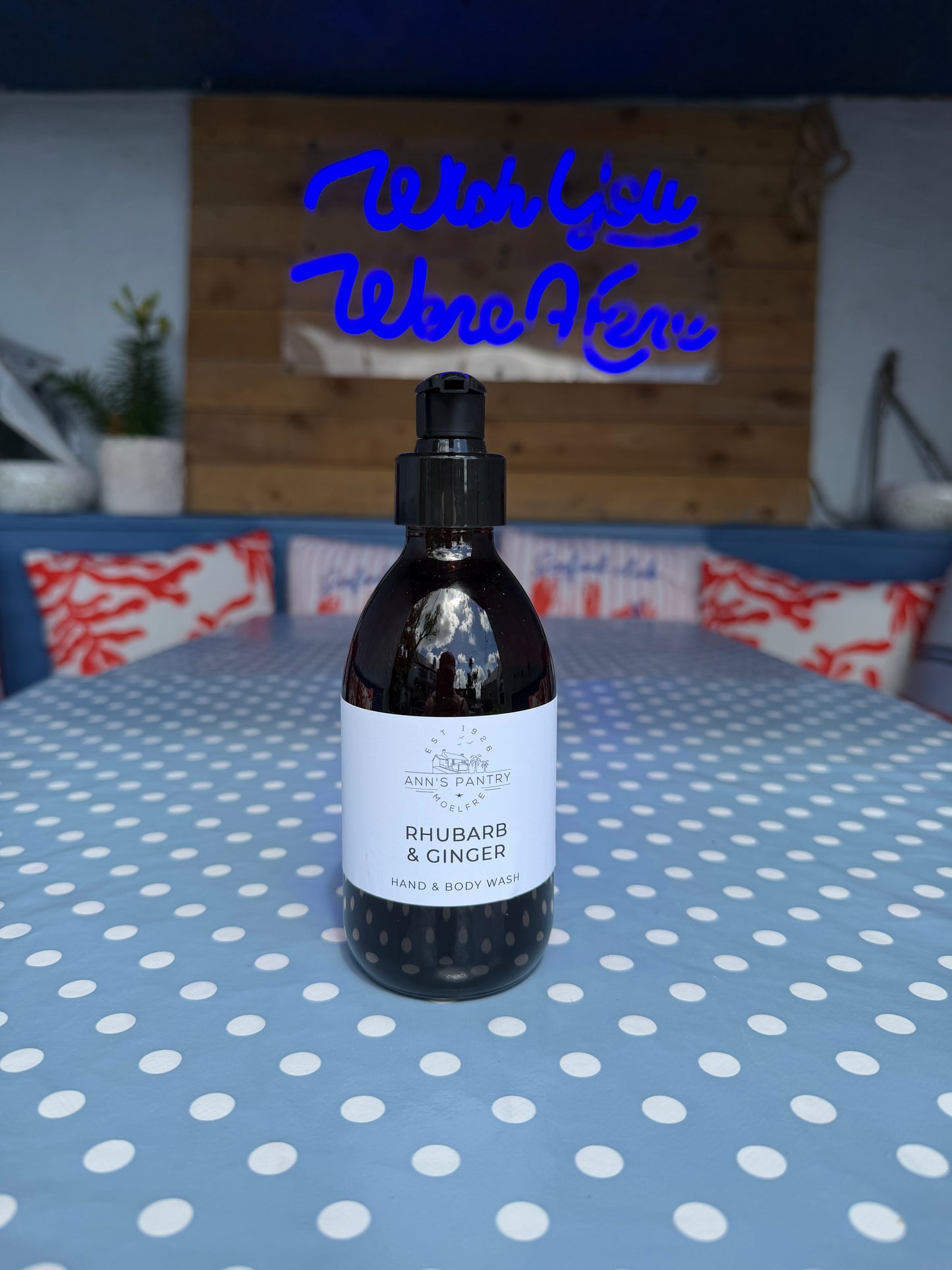 Ann's Pantry Hand and Body Wash