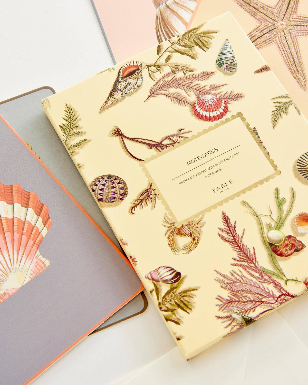 FABLE Whispering Sands Postcard Set