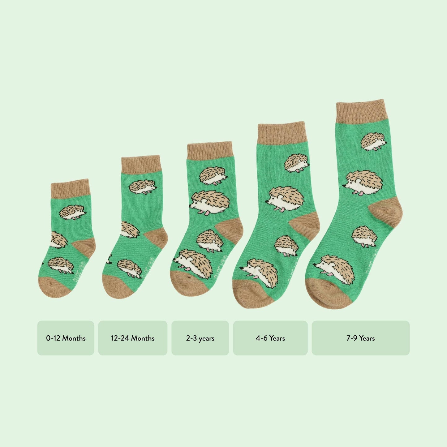 Bare Kind - Hedgehog Socks | Kids Socks