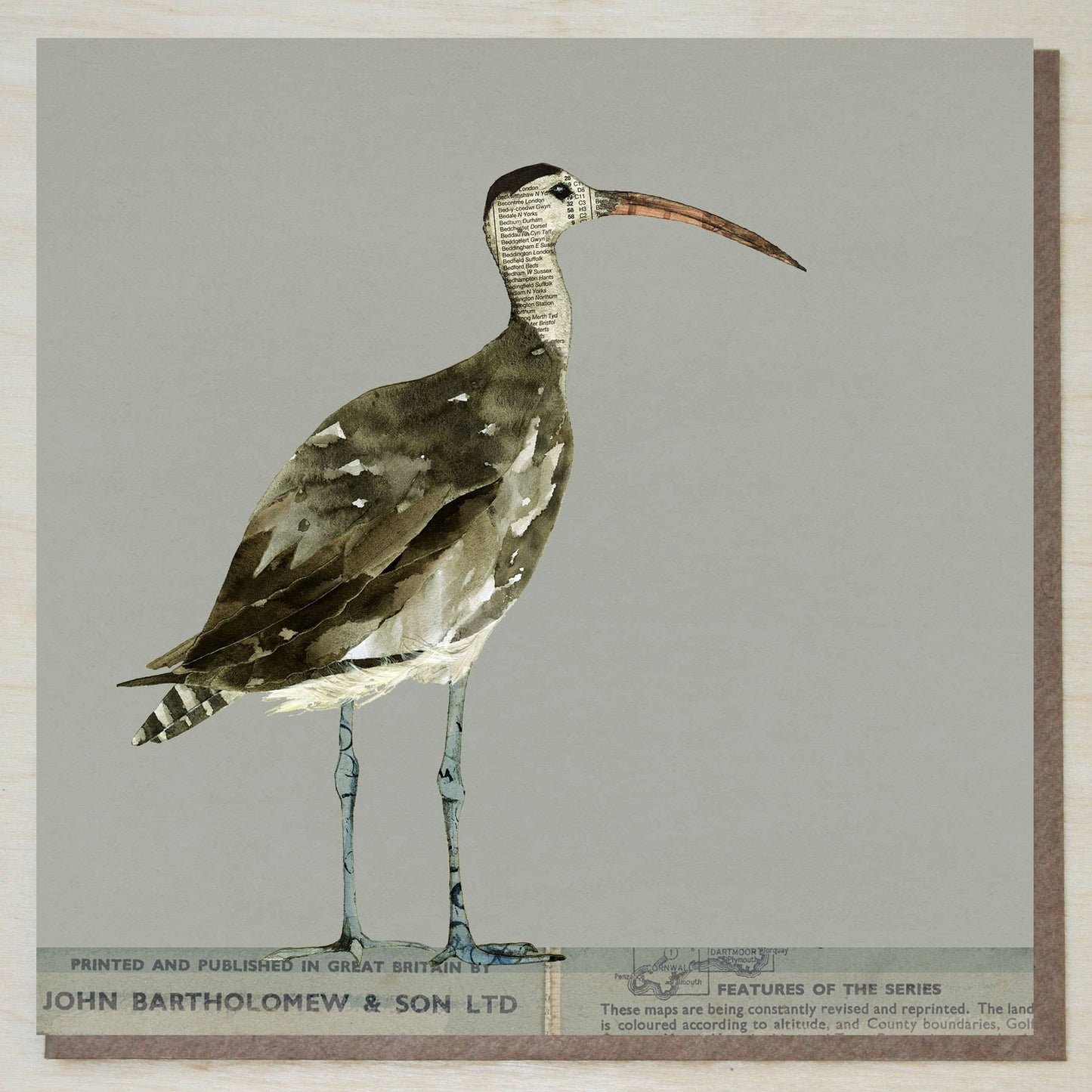 Windsock Press - Curlew Card (British Birds)