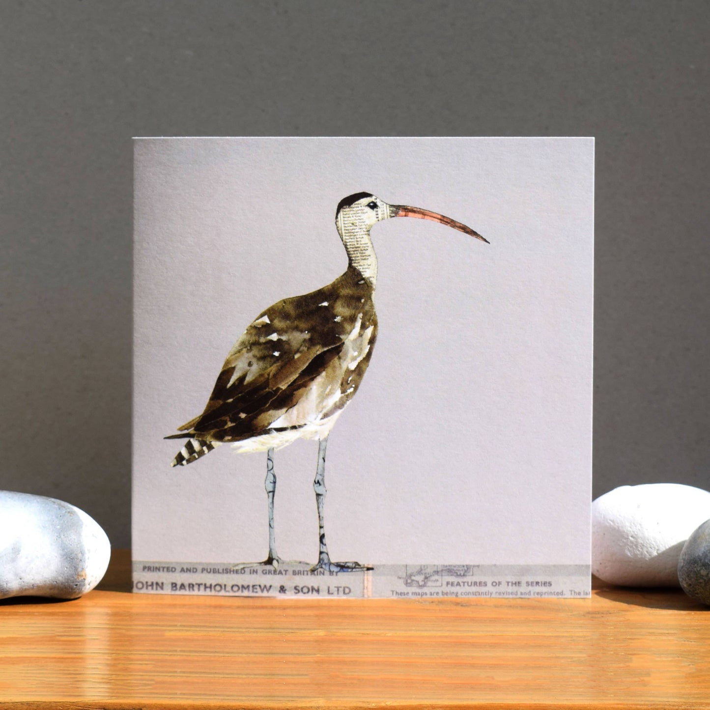 Windsock Press - Curlew Card (British Birds)