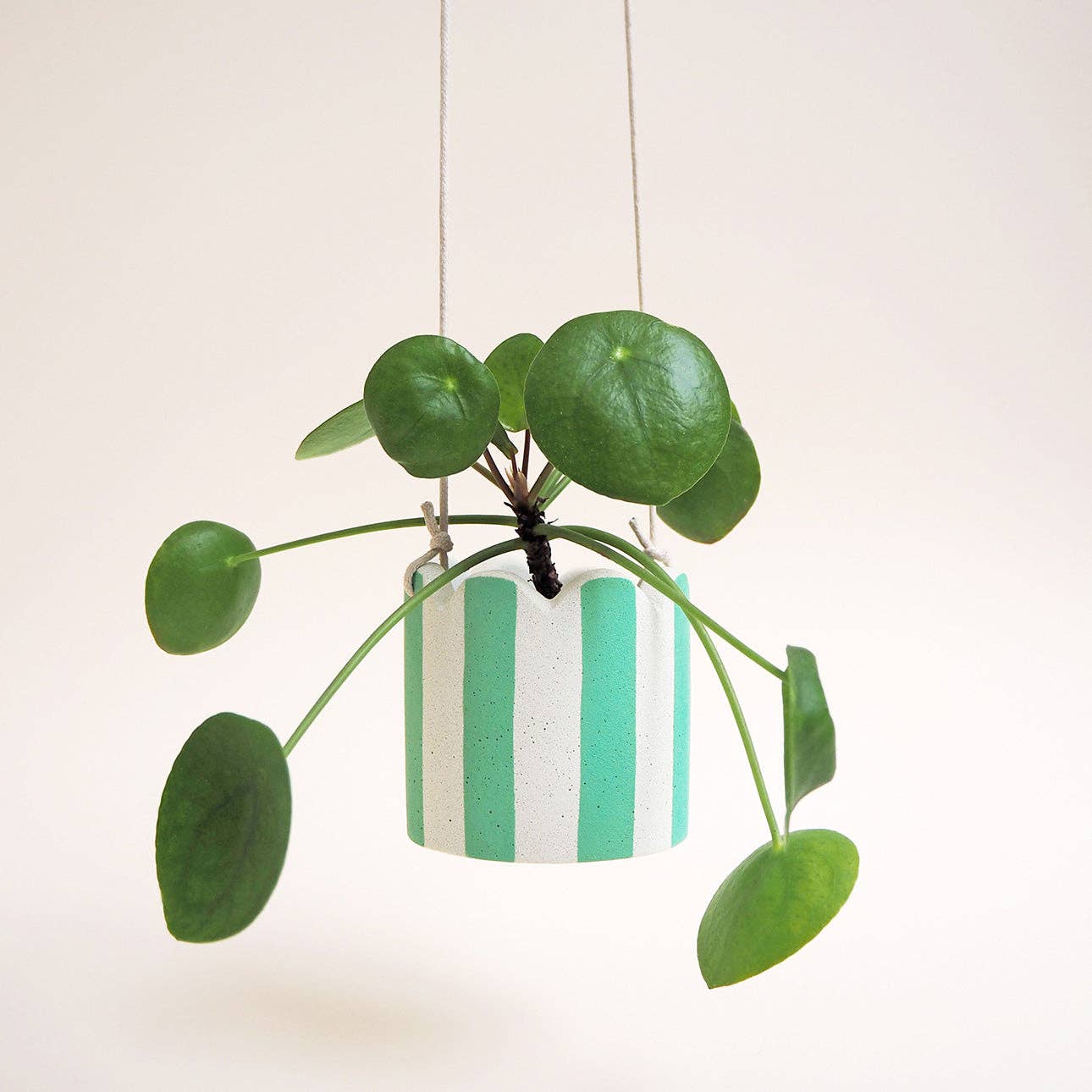 Hello Marilu Small Stripy Hanging Pot - Warm White / Mint