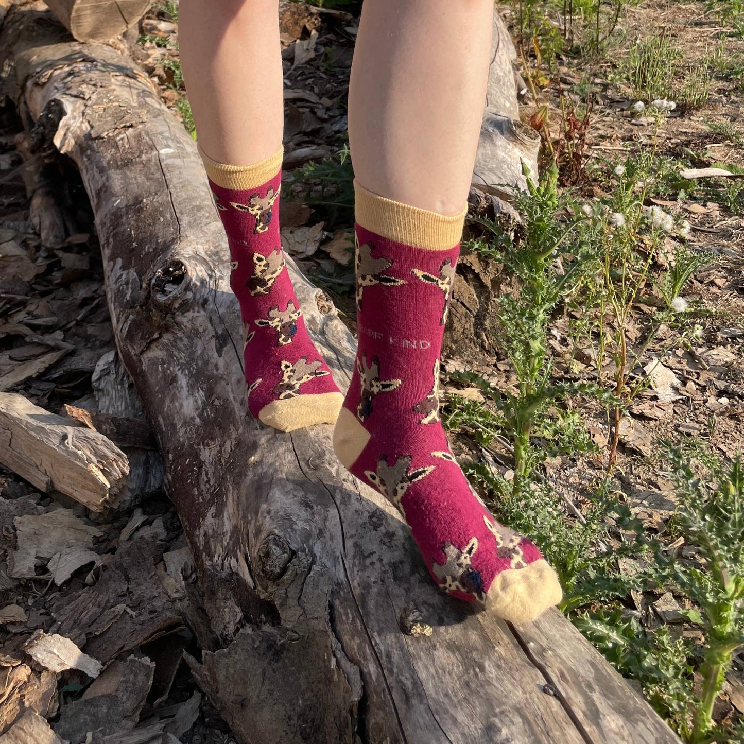 Bare Kind - Giraffe Socks