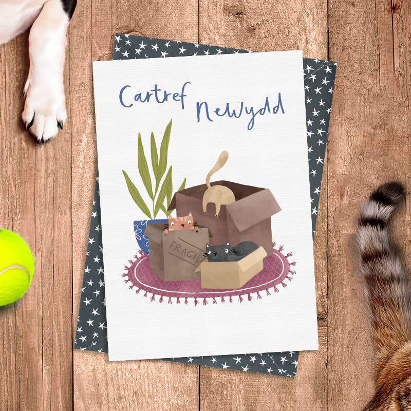 Dandelion Stationery - Cartref Newydd (New Home - Cats in boxes) WELSH Card
