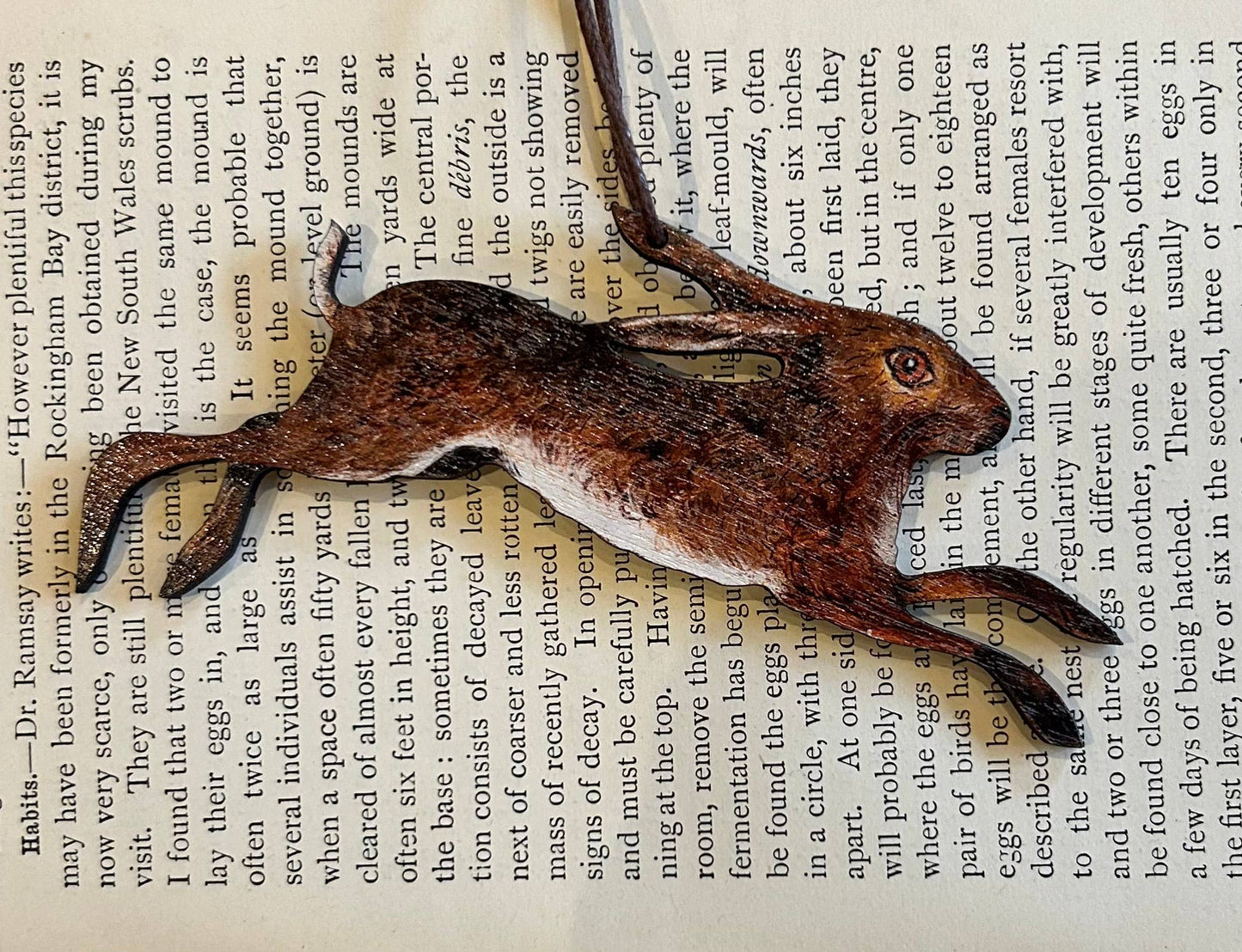 Clare O’Neill Artworks - Spring Hare birch plywood decoration