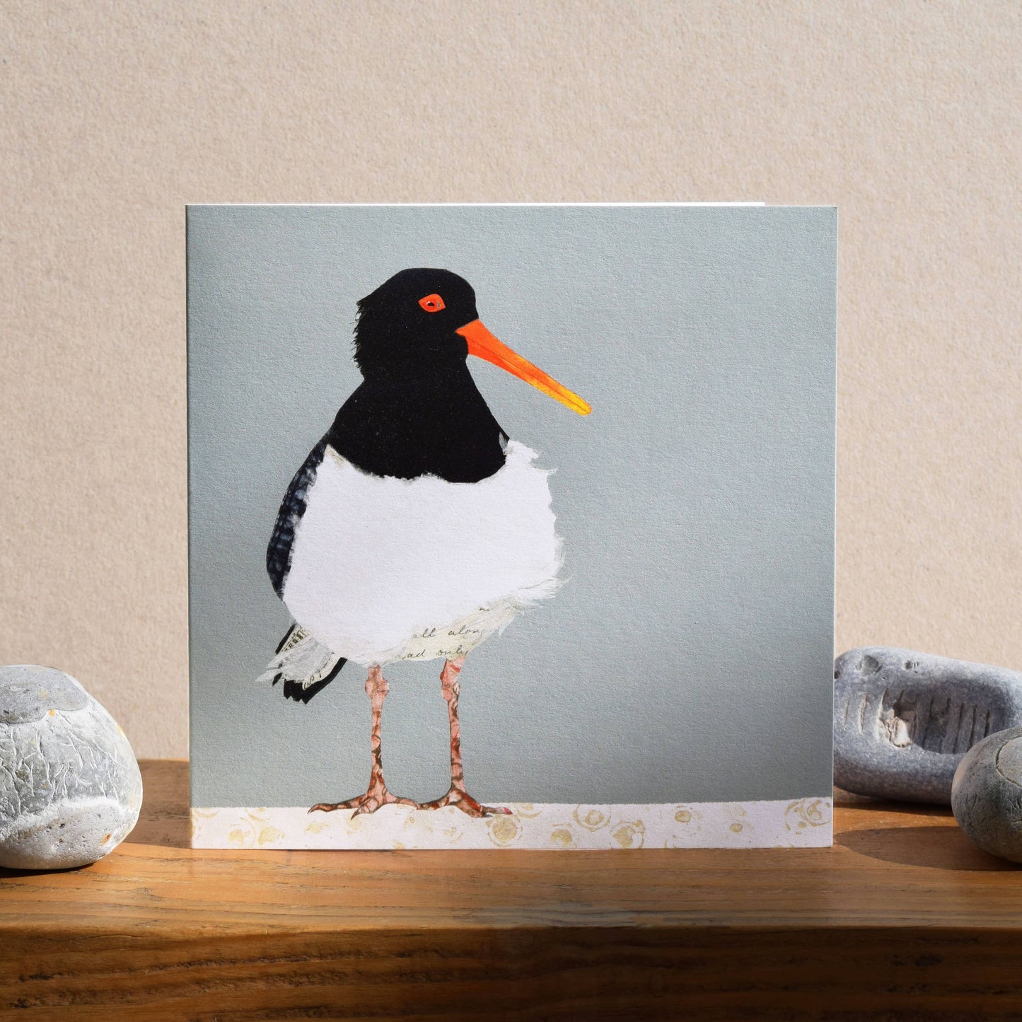 Windsock Press - Oystercatcher Card (British Birds)