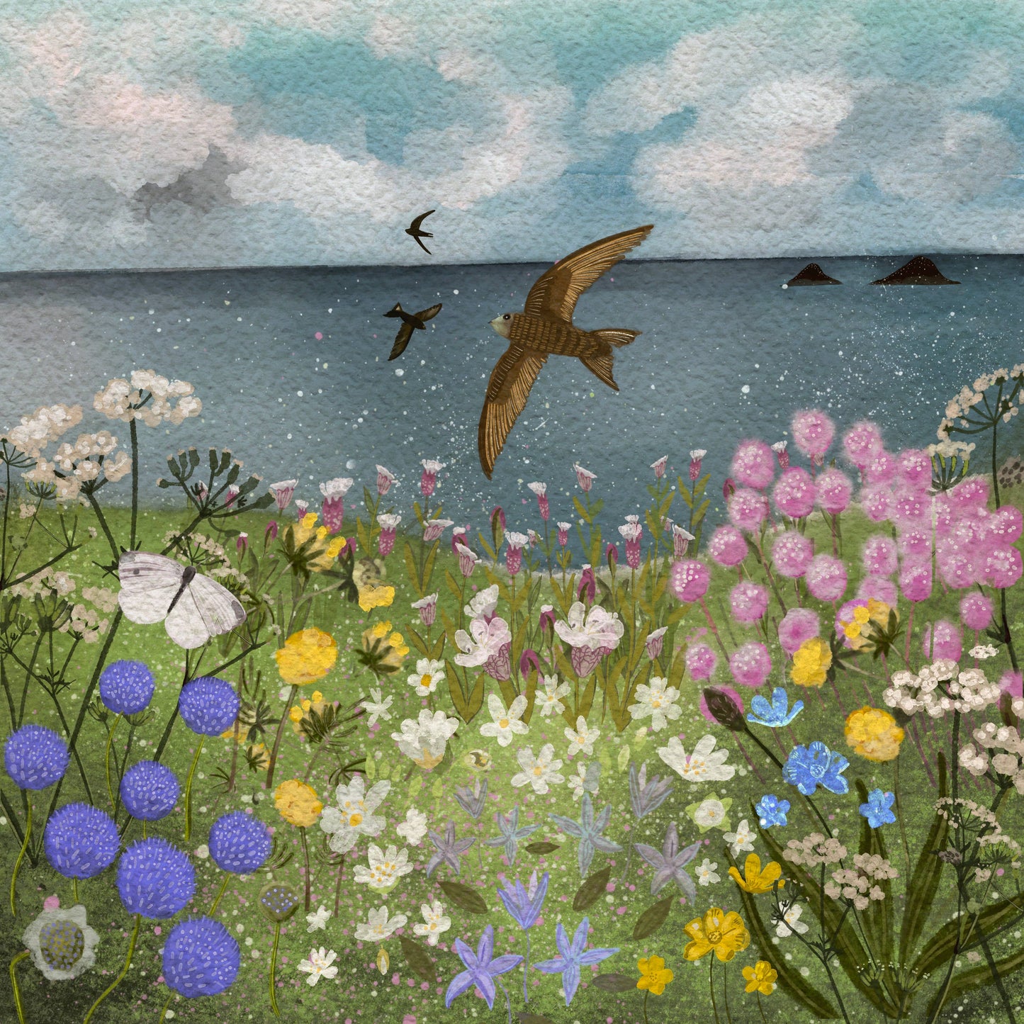Swifts