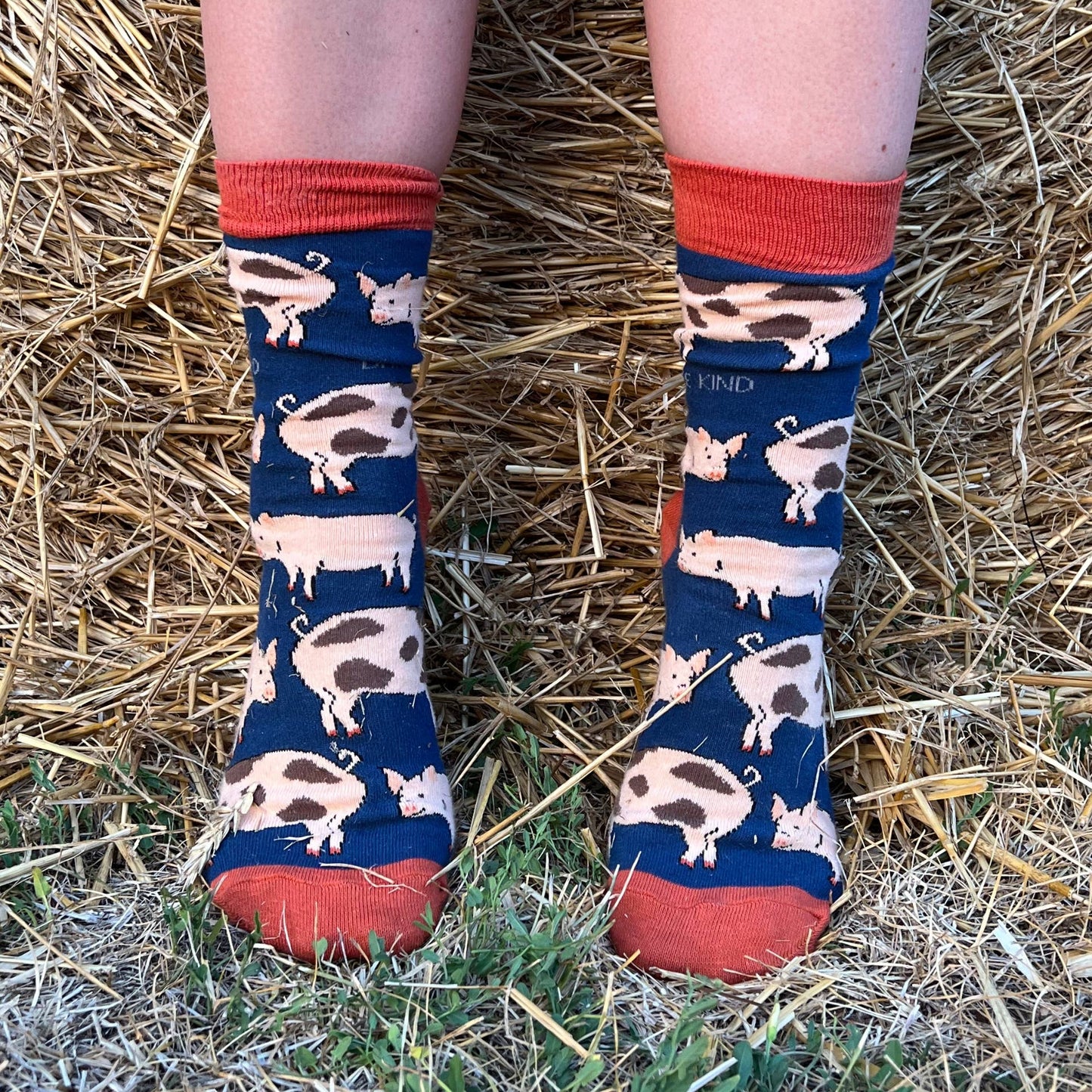 Bare Kind - Pig Socks