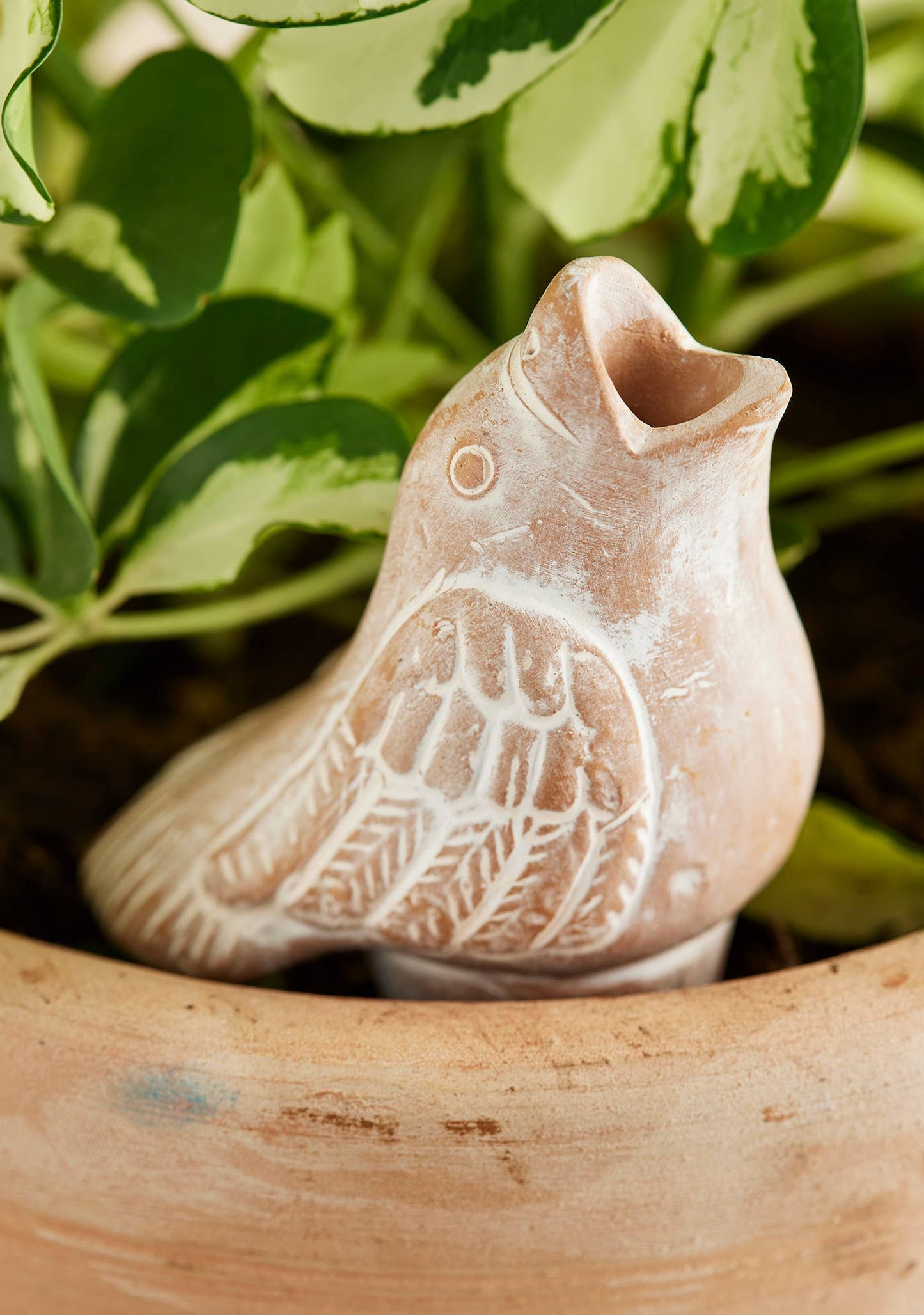 Namaste - Terracotta Bird Plant Watering Spike