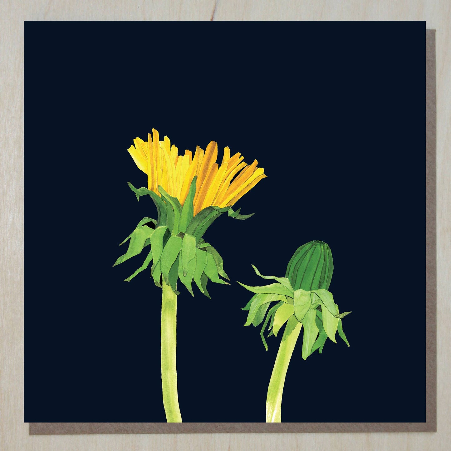 Dandelion Card (wild flowers)