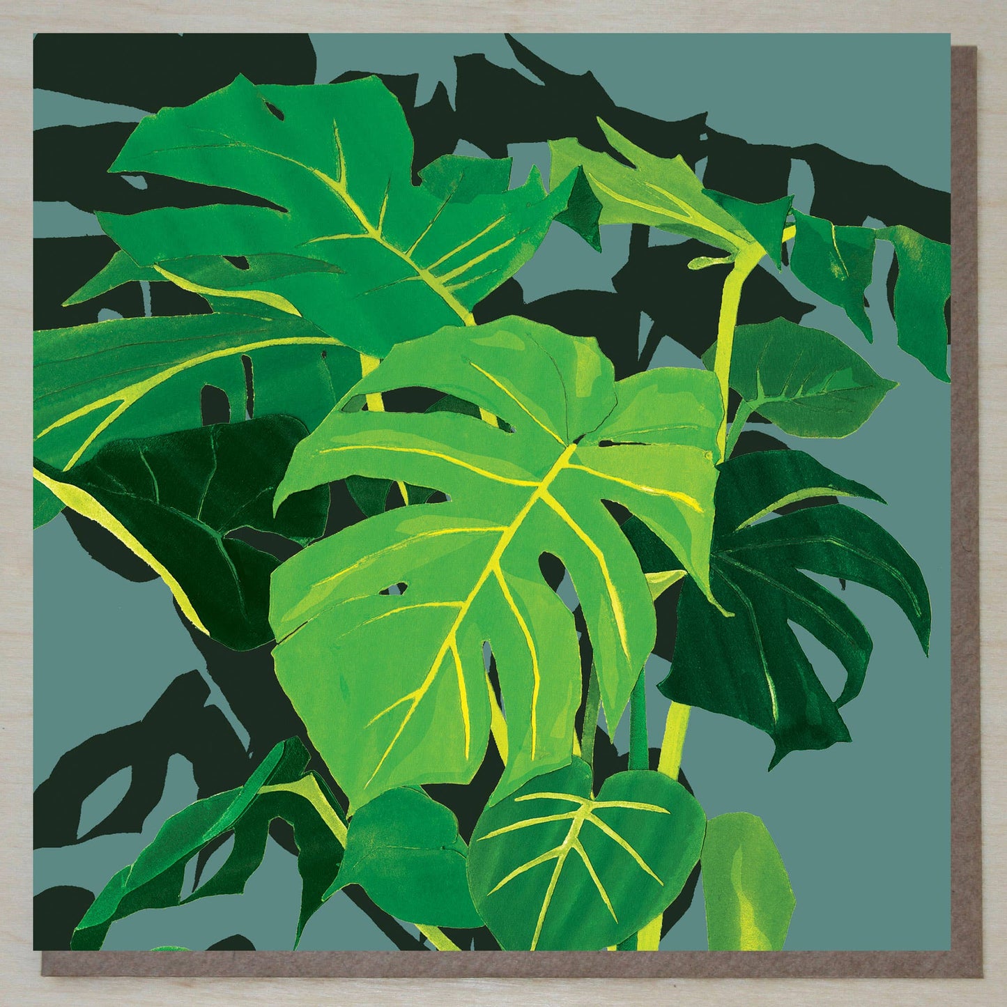 Swiss Cheese Plant Card (plant cards)