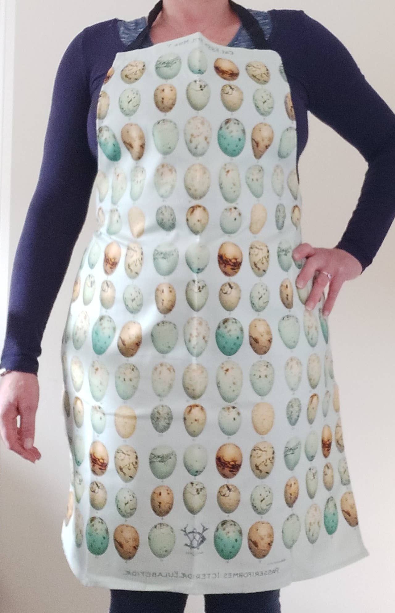 Antique Print Apron with pocket Eggs 1901 Ornithology Aqua