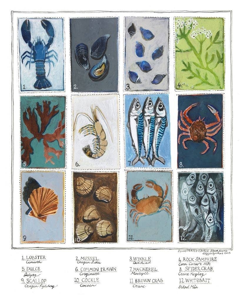 Edible Shoreline Poster Print