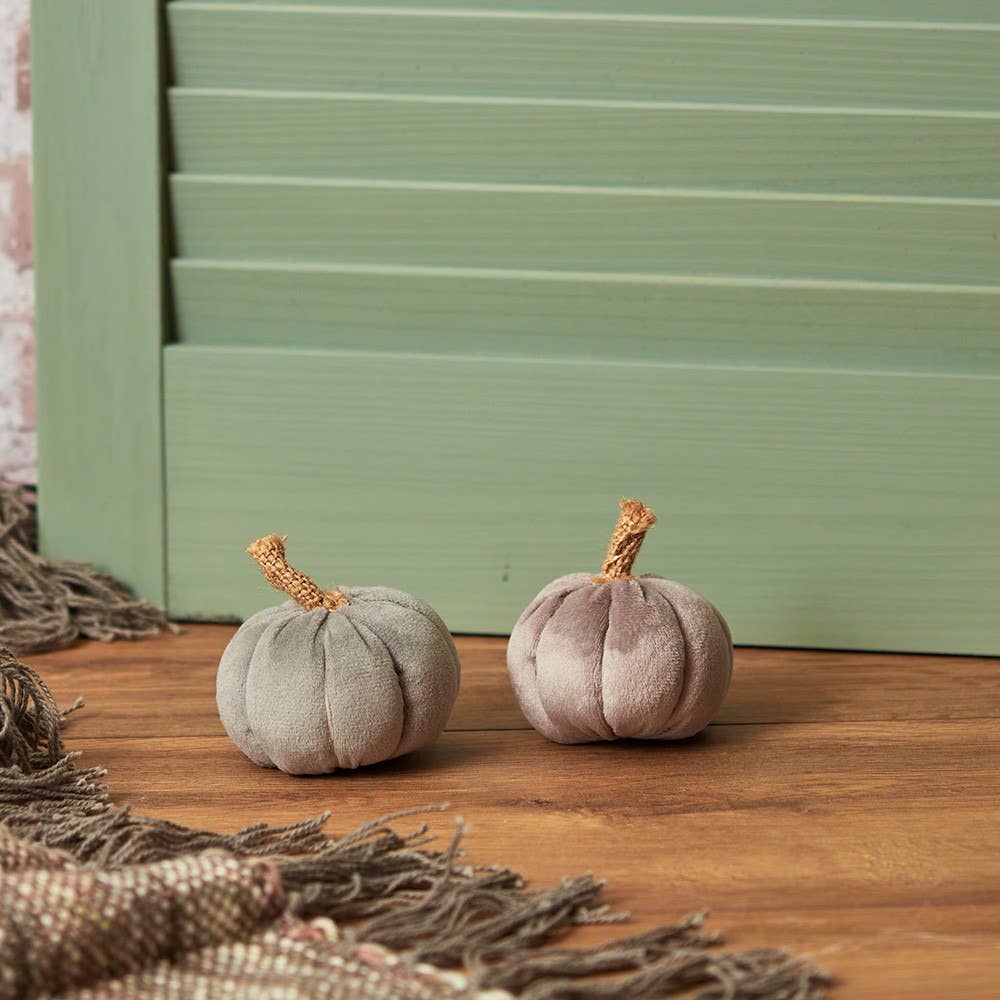 Grey Pumpkin Small 2 Asstd