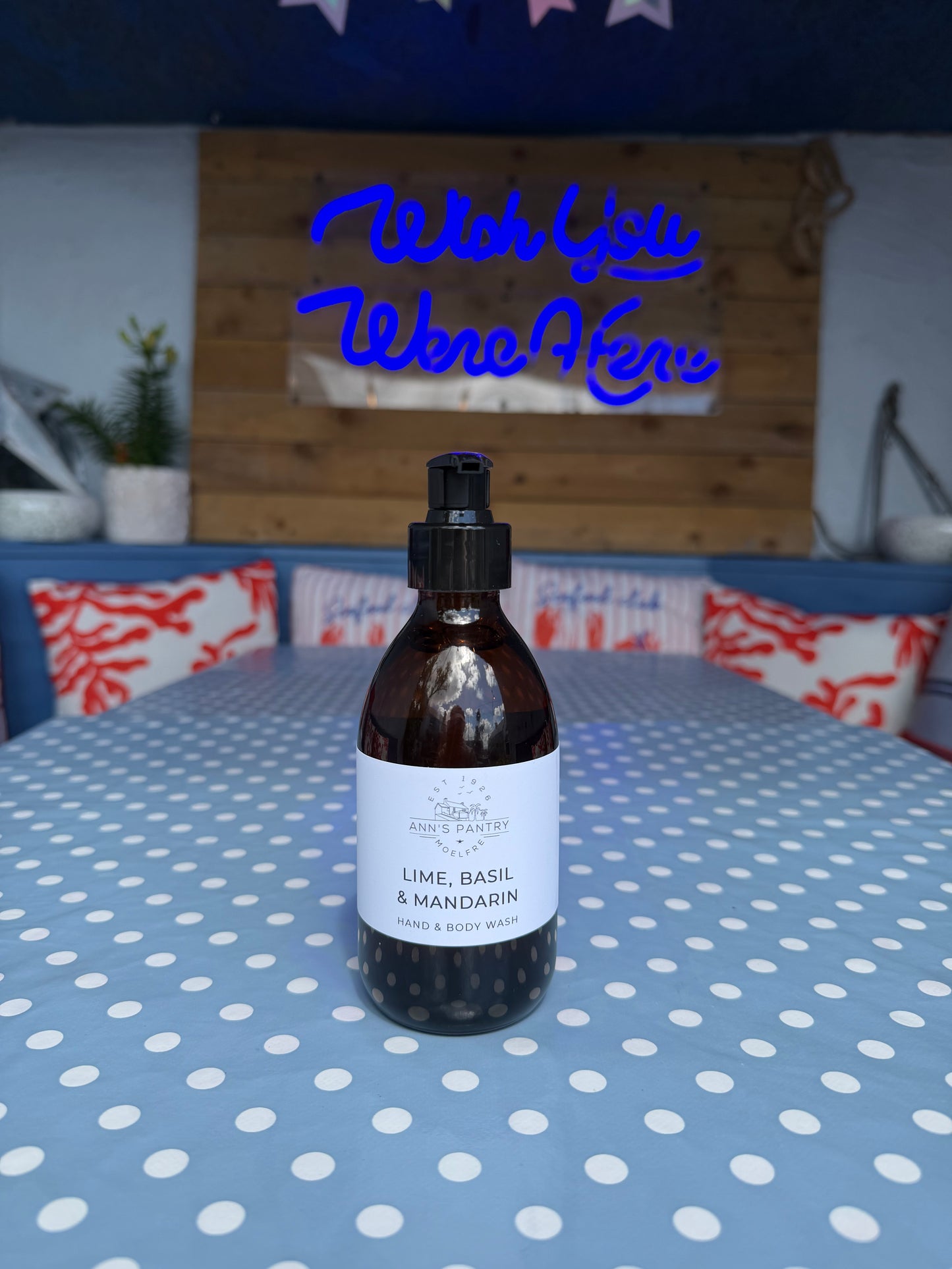 Ann's Pantry Hand and Body Wash