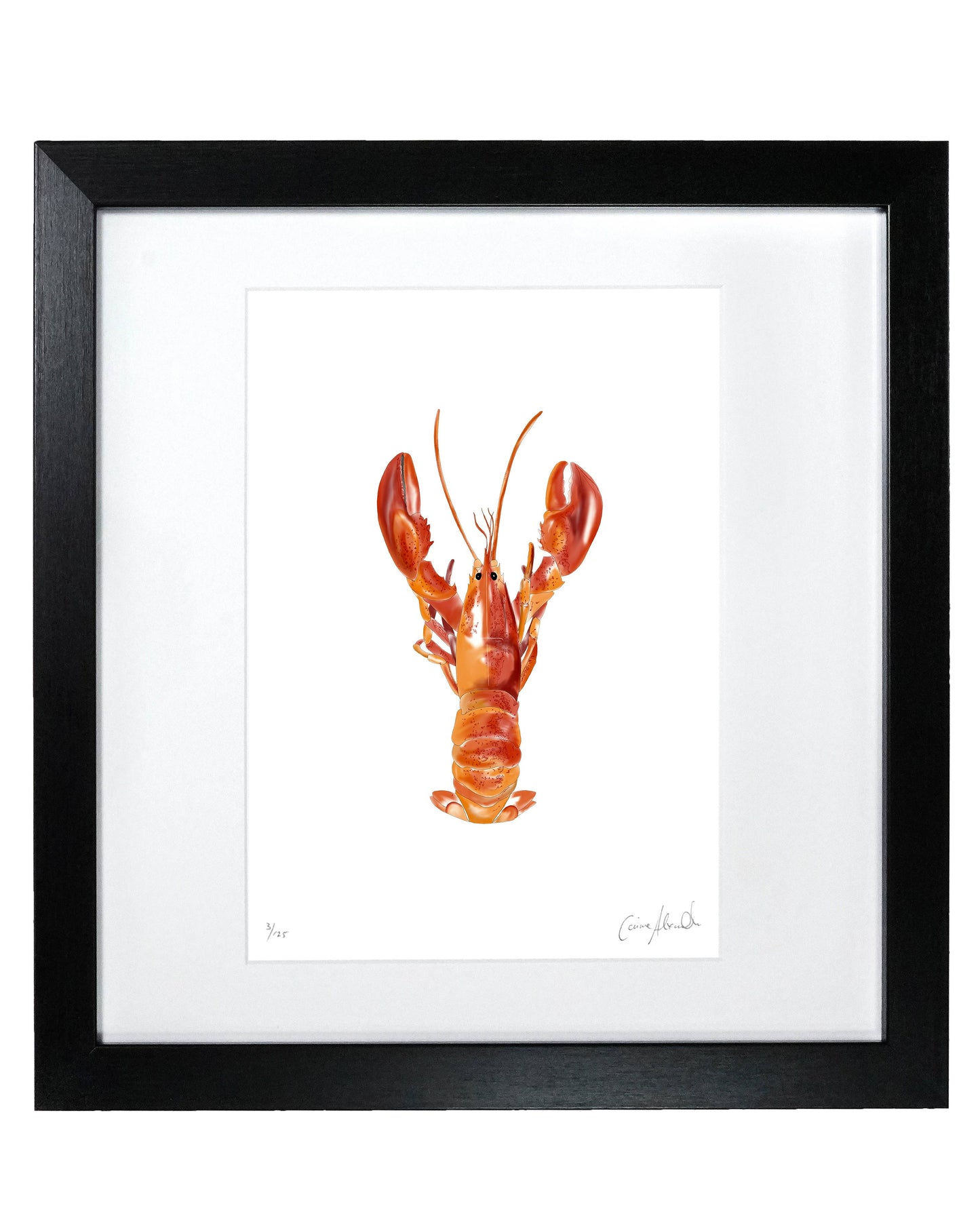 Lobster Print- Framed Limited Edition Print - Seafood