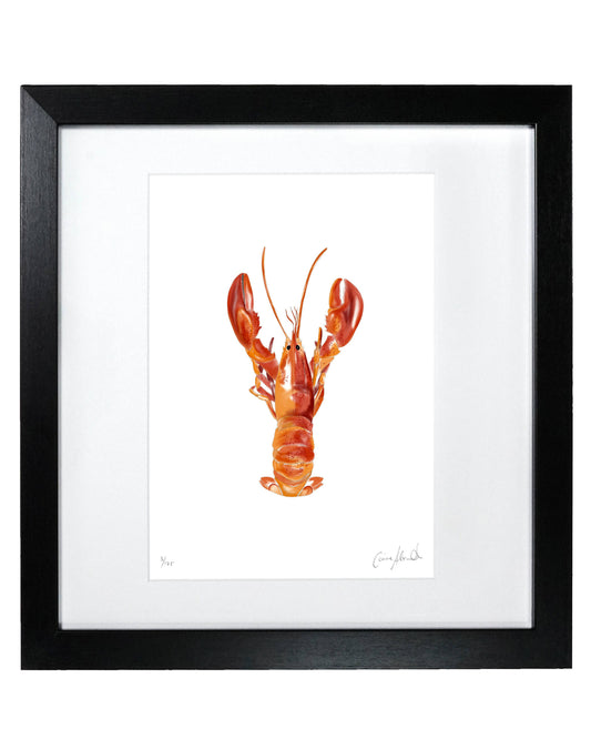 Lobster Print- Framed Limited Edition Print - Seafood