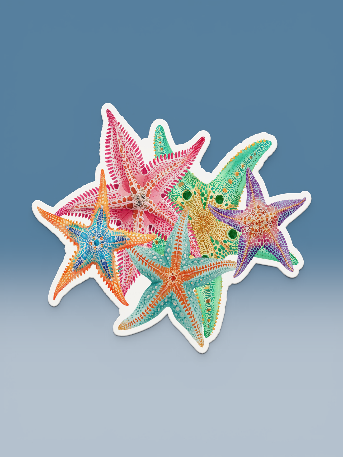 Starfish Seaside Nautical Coastal Postcards Notecards