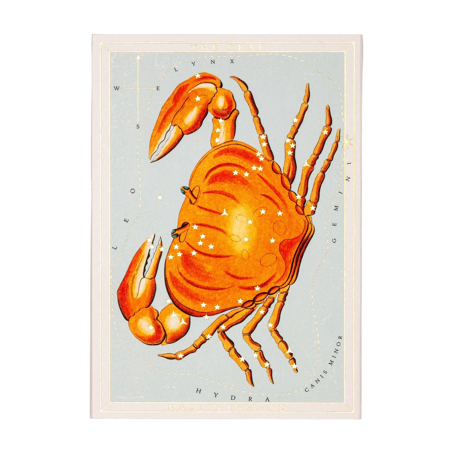 Astrology Crab