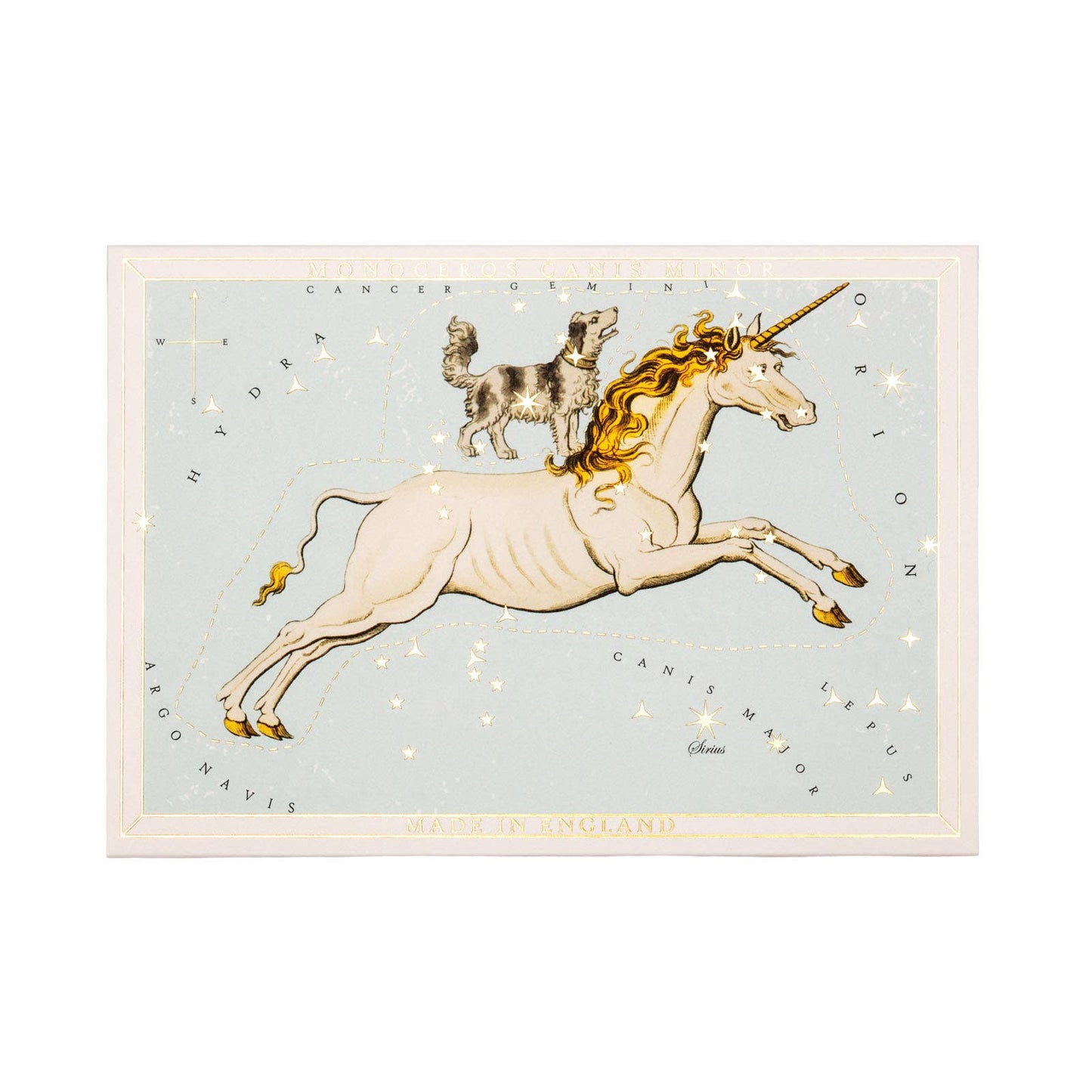 Astrology Unicorn