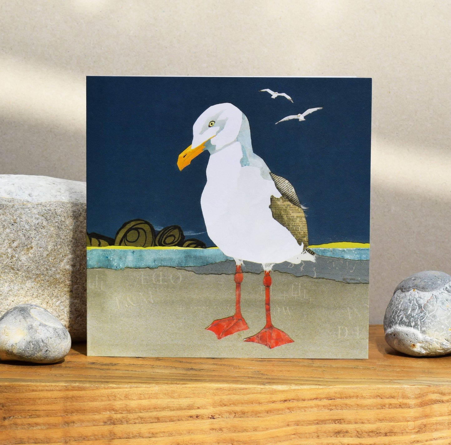 Herring Gull card (British Birds)