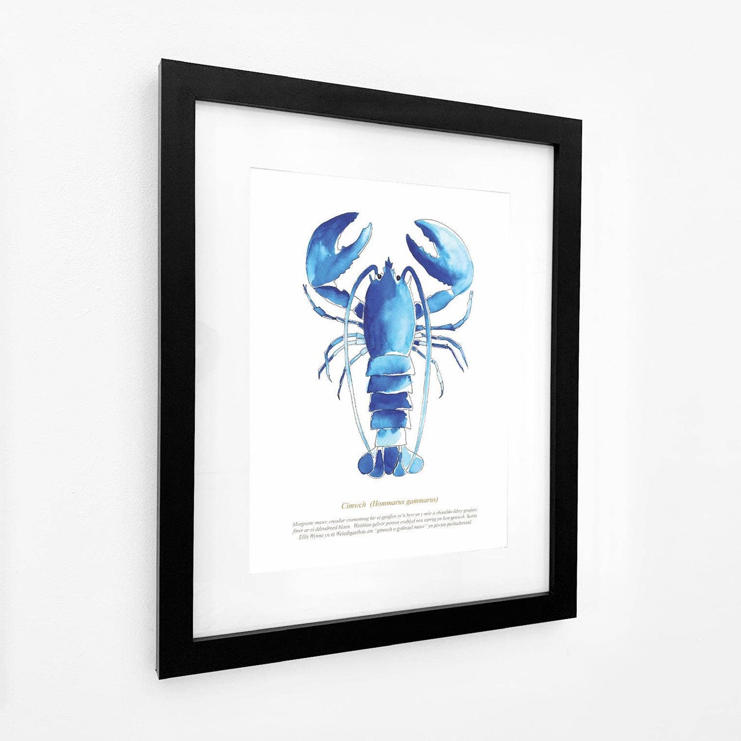 Lobster Watercolour Print