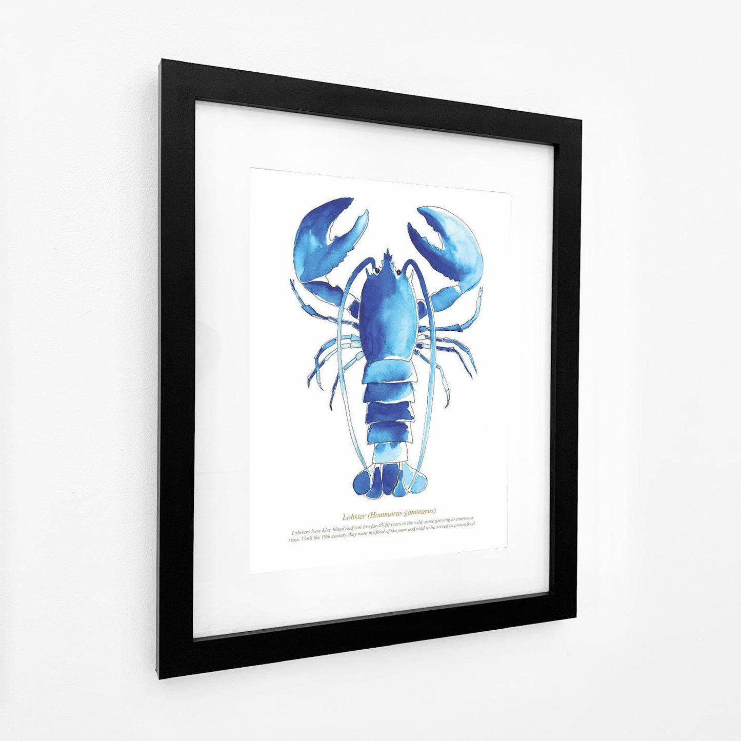 Lobster Watercolour Print