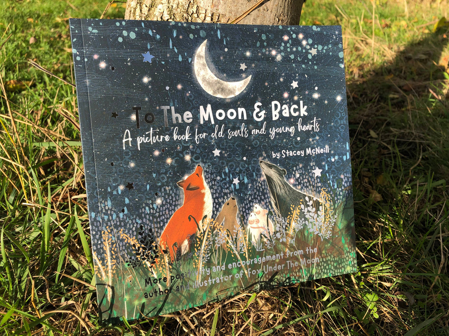 Fox under the Moon - 'To The Moon & Back' from 'Fox Under The Moon' (Book 2)