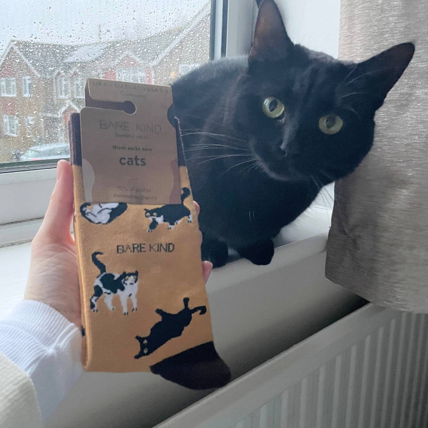 Bare Kind - Brown Cats Socks