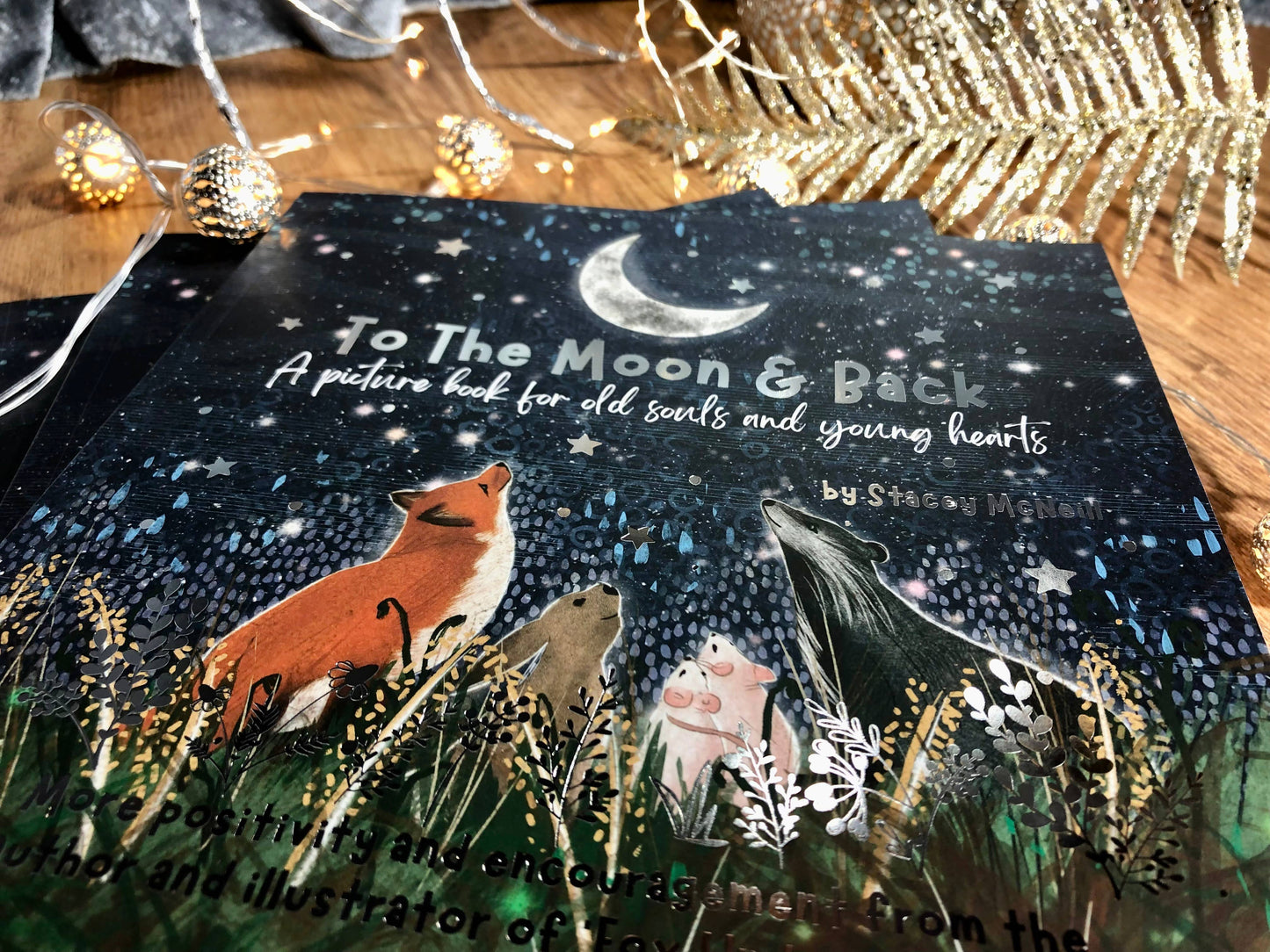Fox under the Moon - 'To The Moon & Back' from 'Fox Under The Moon' (Book 2)