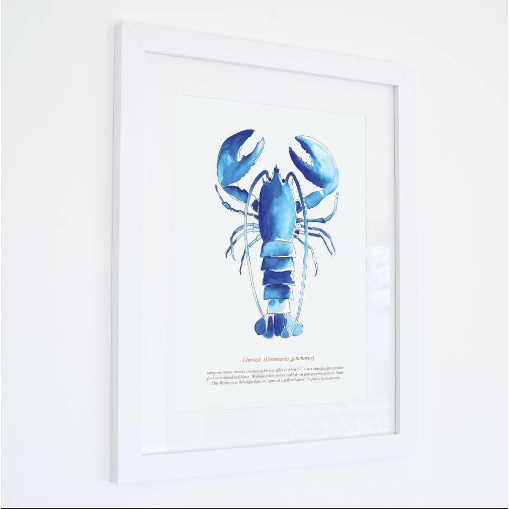 Lobster Watercolour Print
