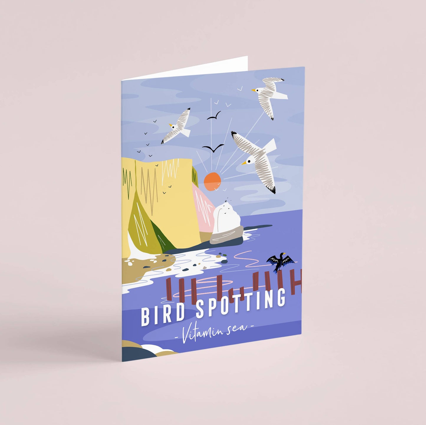 Onneke - Bird spotting Coastal greeting card seaside card vitamin sea