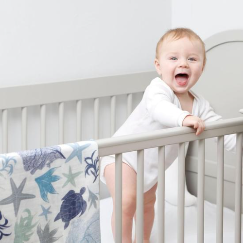 Beach Born Salcombe Ltd Turtle Extra Large Muslin / Swaddle Blanket