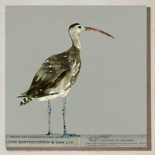 Windsock Press - Curlew Card (British Birds)