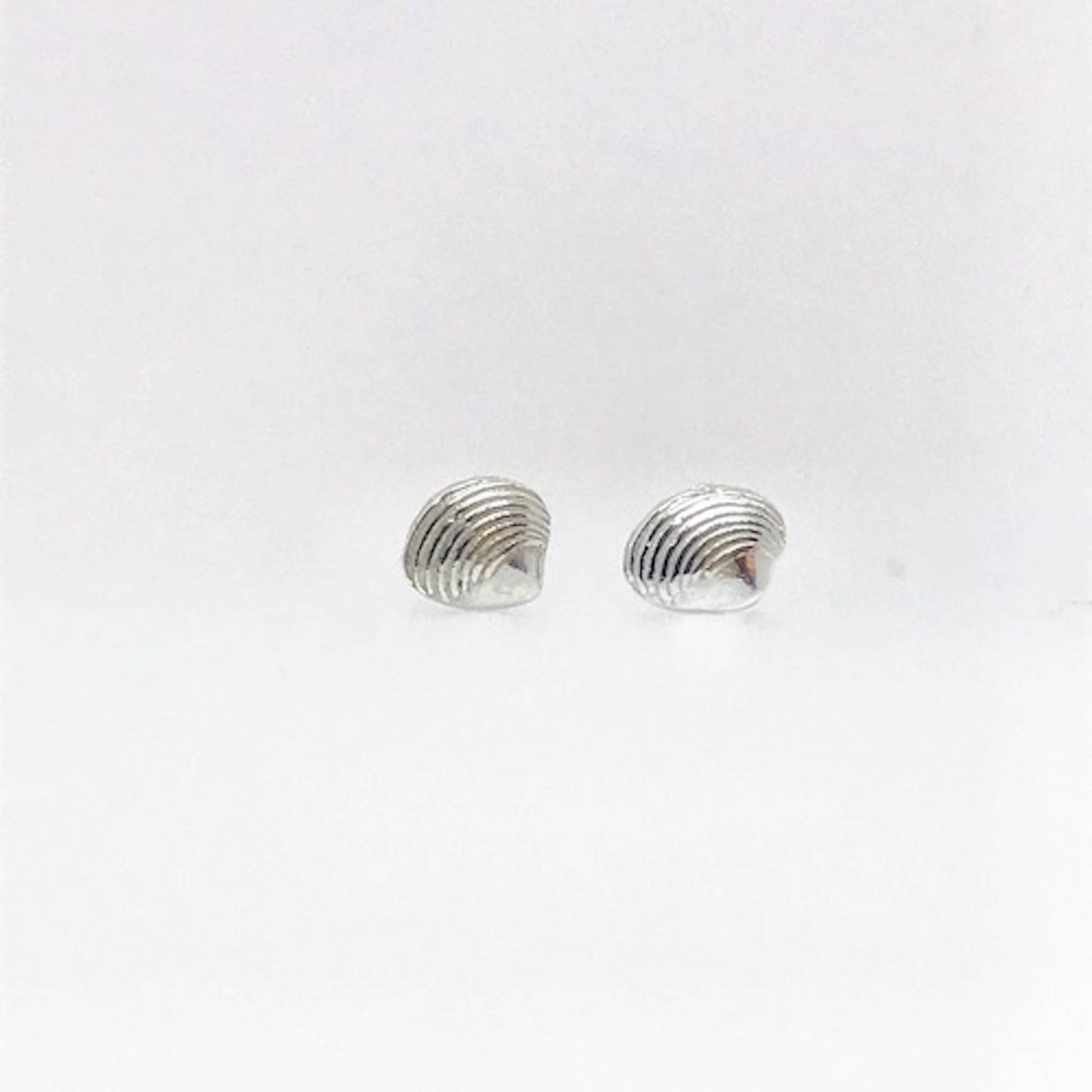 Silver Scottish Clam Shell Earrings