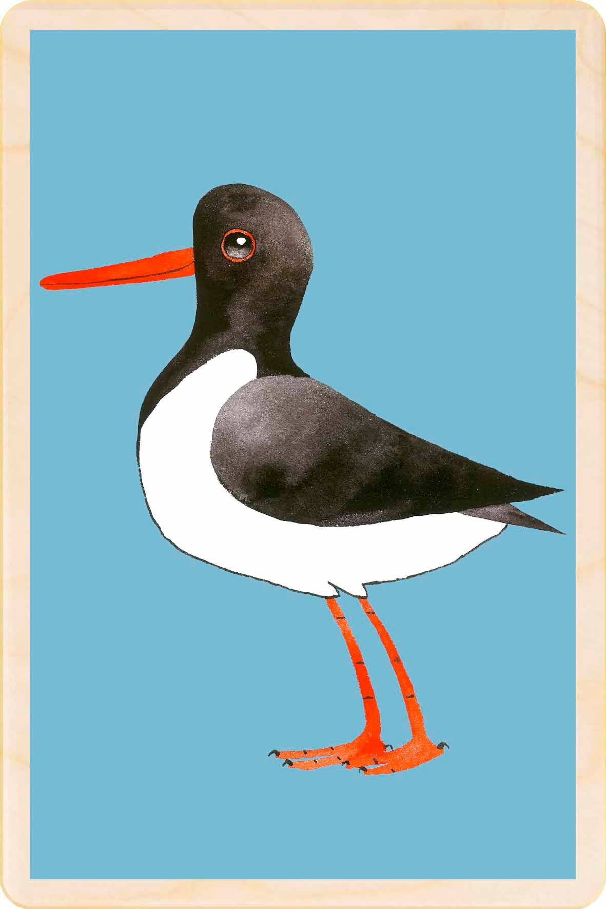 The Wooden Postcard Company OYSTERCATCHER sustainable wood postcard