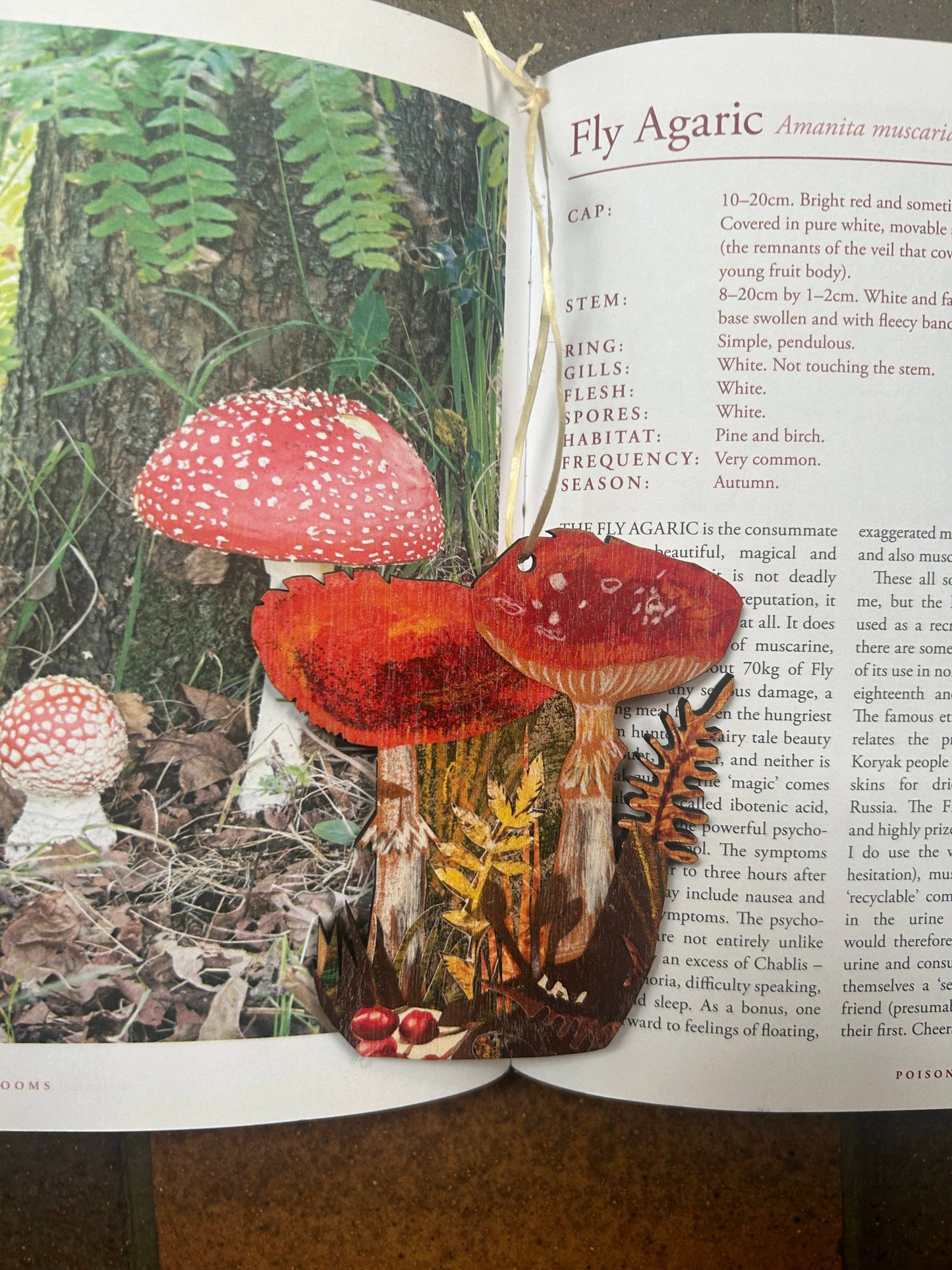 Clare O’Neill Artworks - Toadstools birch plywood decoration 