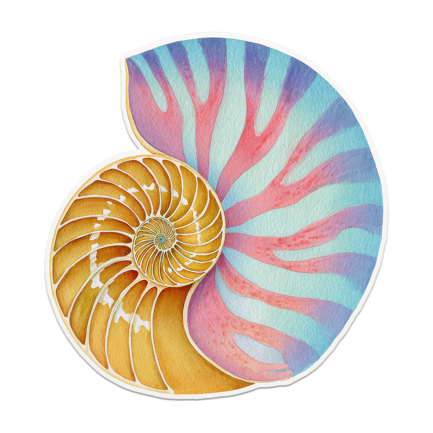 Shells Seaside Coastal Postcards Stationery Notecards