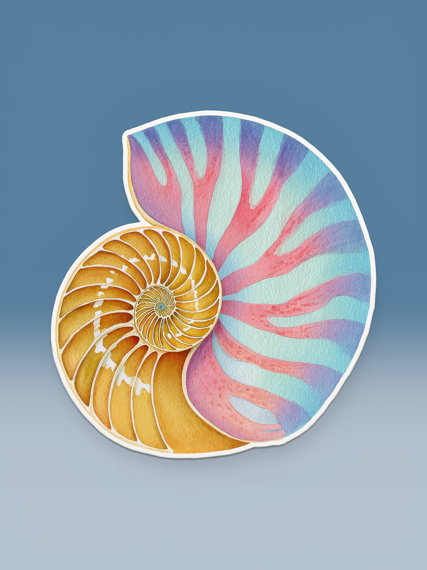 Shells Seaside Coastal Postcards Stationery Notecards