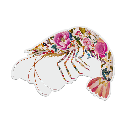 Prawn Shrimp Seaside Coastal Postcards Stationery Notecards
