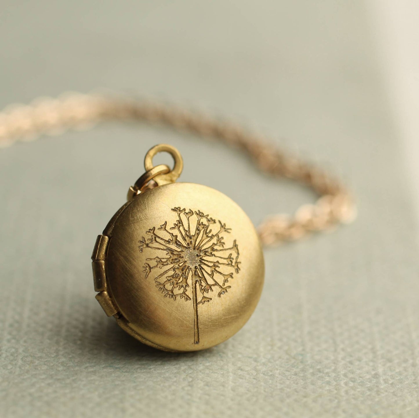 Silk Purse, Sow's Ear - Tiny Brass Dandelion Locket Necklace