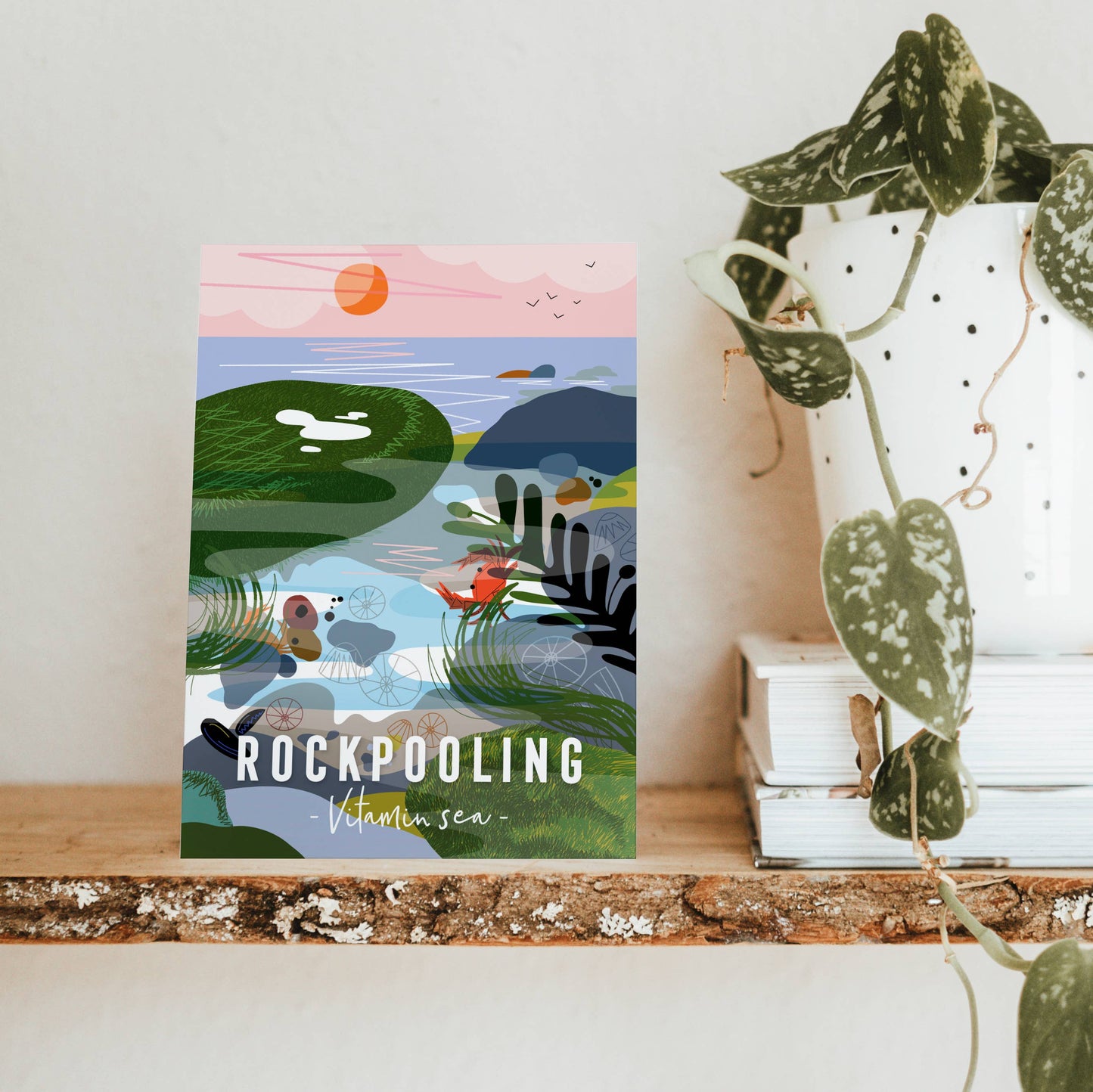 Onneke -  Rockpooling Coastal card seaside greeting card