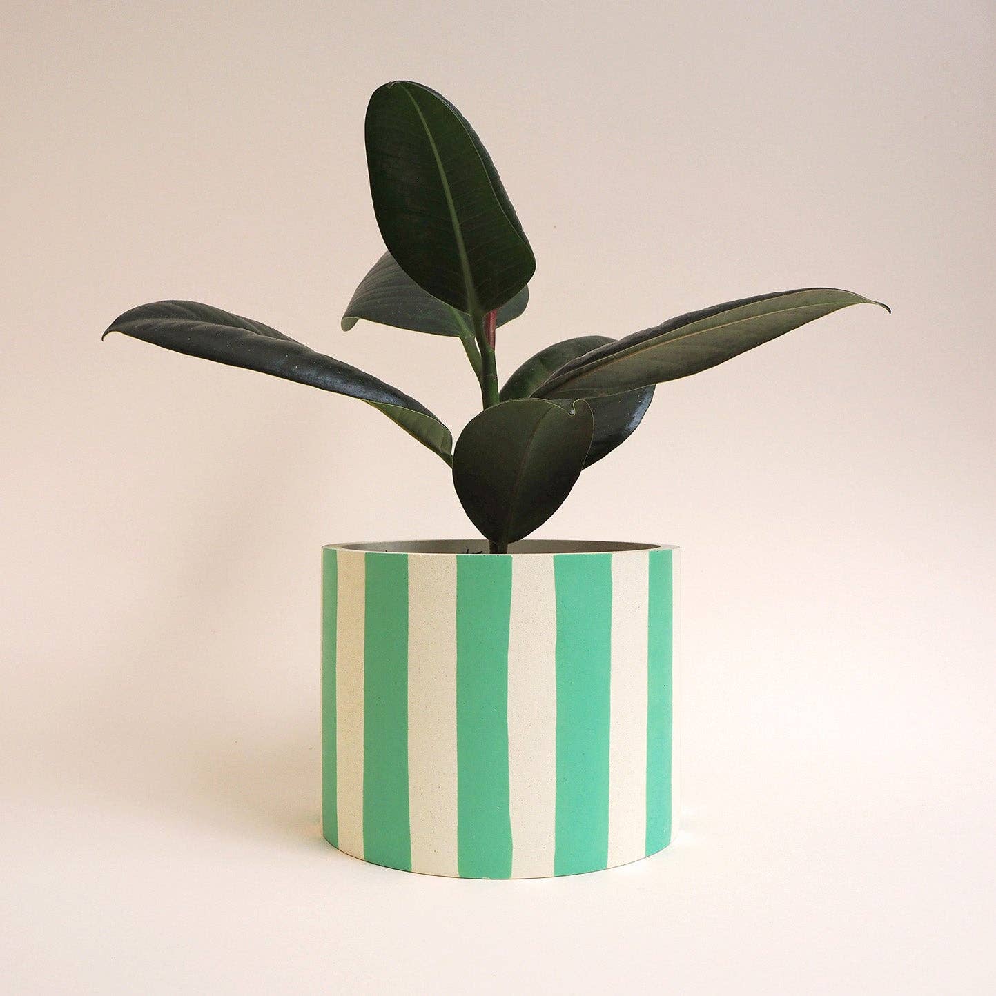 Hello Marilu Large Stripes or Squiggles Jesmonite Pot: Mint / Squiggles