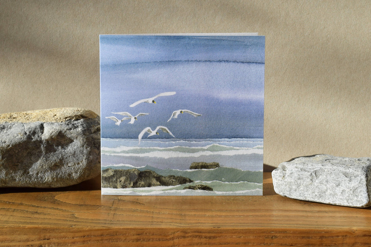 Windsock Press - Coastal/Seaside Card (seabirds)