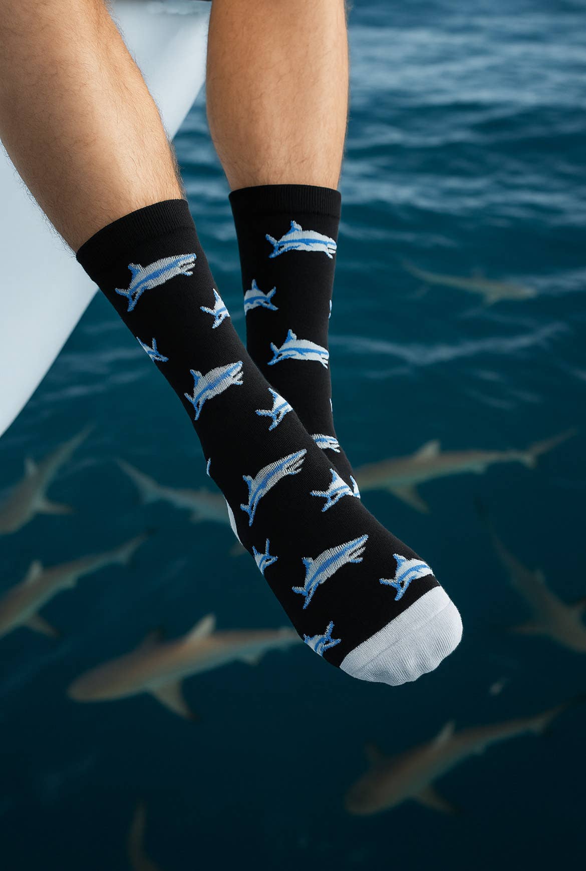 Socksy - Shark Socks