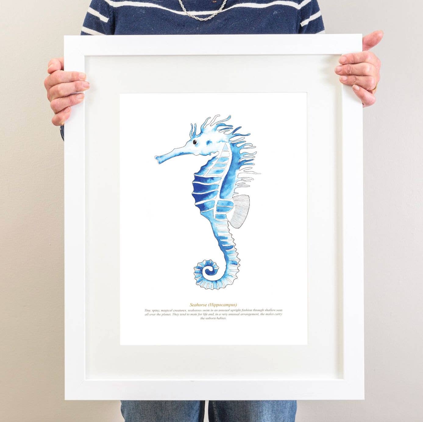 Seahorse Watercolour Print