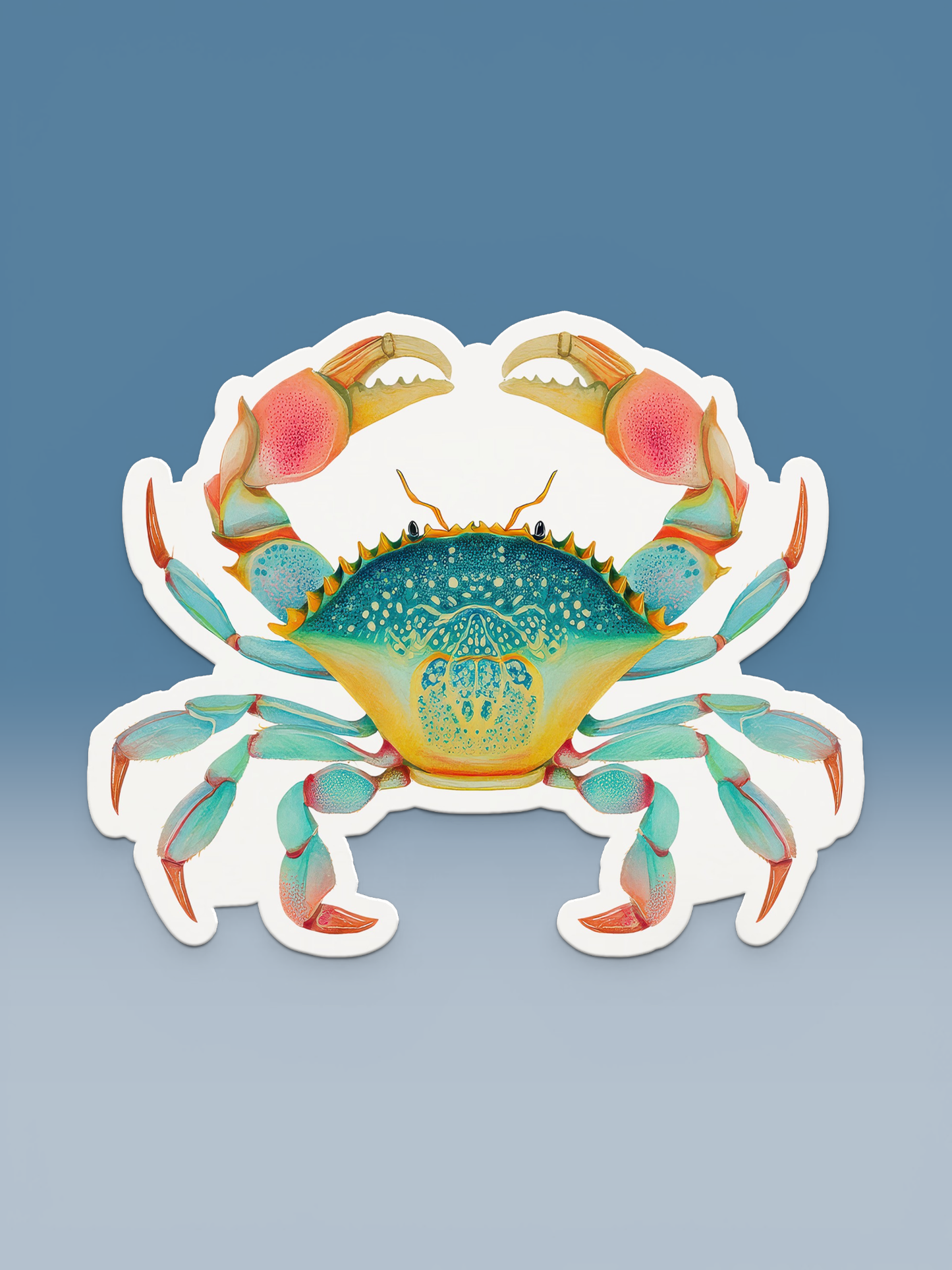Crabs Seaside Coastal Postcards Stationery Notecards