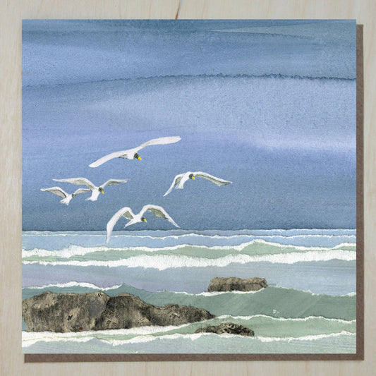 Windsock Press - Coastal/Seaside Card (seabirds)